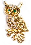 Chouette Broche Pin