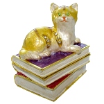 Boite à bijoux chat - chat couché sur les livres