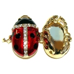 Grand pendentif porte photo - Coccinelle