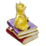 Boite à bijoux chat - chat couché sur les livres
