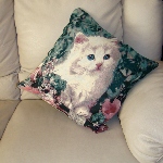 Housse de coussin Chaton blanc