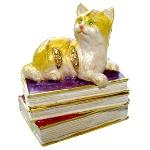 Boite à bijoux chat - chat couché sur les livres