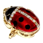 Grand pendentif porte photo - Coccinelle